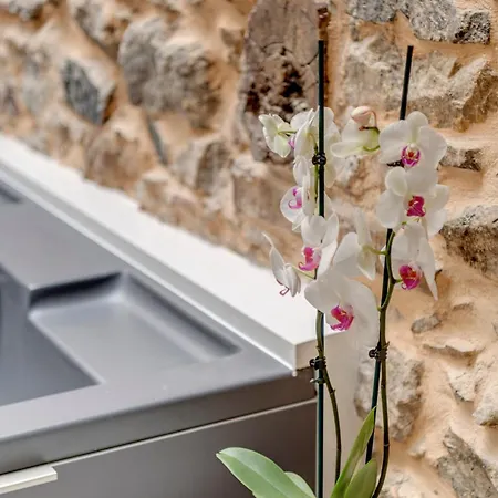 Skylight - 1873 Seafront Luxury On The Harbor, Center Hotel Ermoúpoli