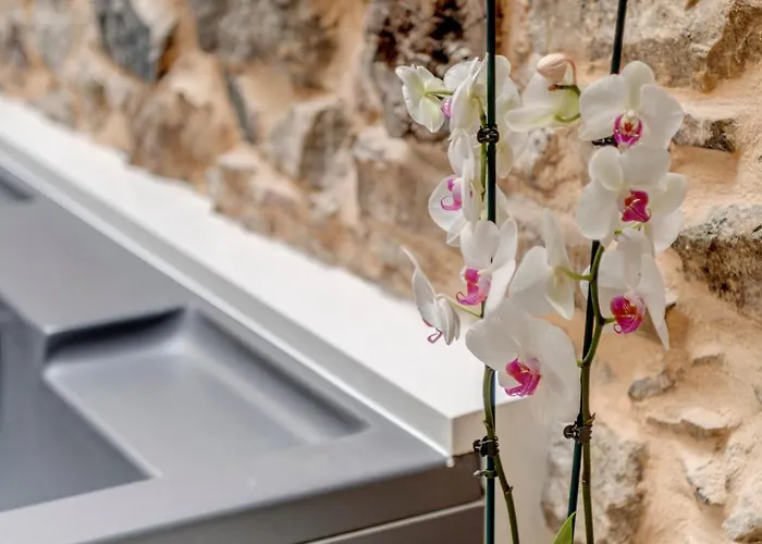 Skylight - 1873 Seafront Luxury On The Harbor, Center Hotel Ermoupoli