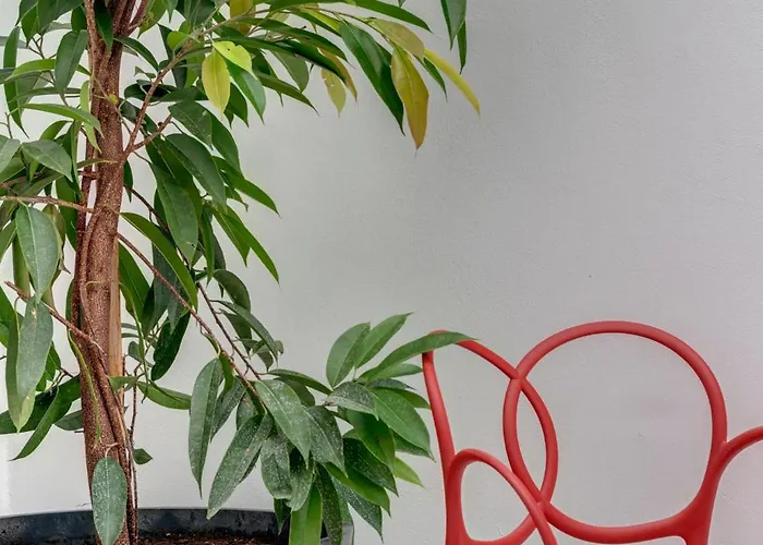 Skylight - 1873 Seafront Luxury On The Harbor, Center Hotel